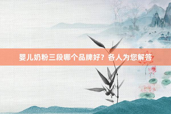 婴儿奶粉三段哪个品牌好？各人为您解答