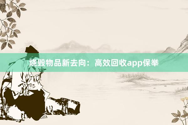 烧毁物品新去向：高效回收app保举