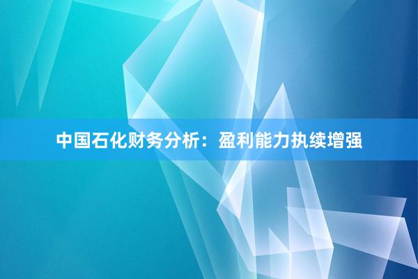 中国石化财务分析：盈利能力执续增强