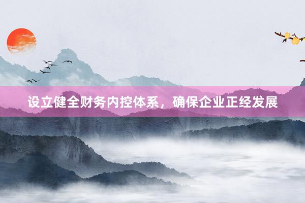 设立健全财务内控体系，确保企业正经发展