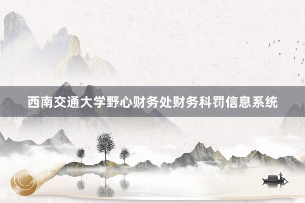 西南交通大学野心财务处财务科罚信息系统