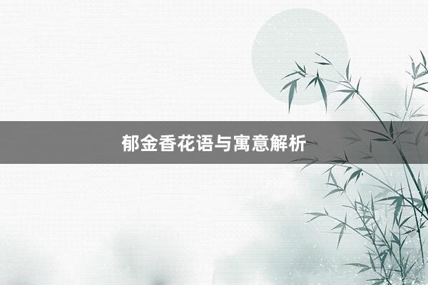 郁金香花语与寓意解析