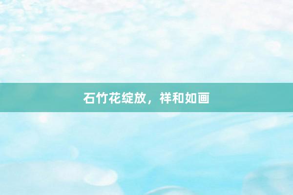 石竹花绽放，祥和如画