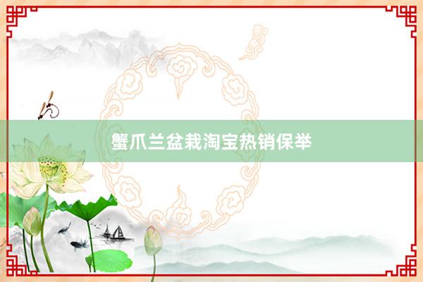 蟹爪兰盆栽淘宝热销保举